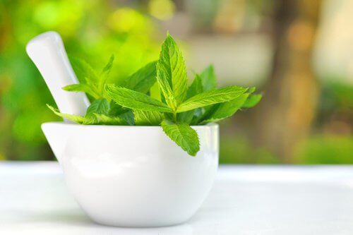 menta