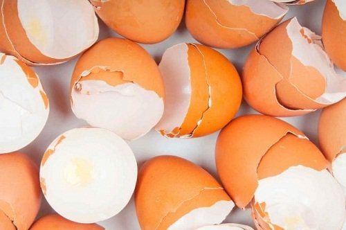 rimedi fatti in casa con guscio d'uovo