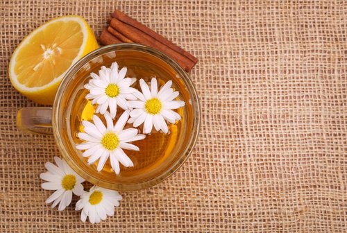 tisana alla camomilla
