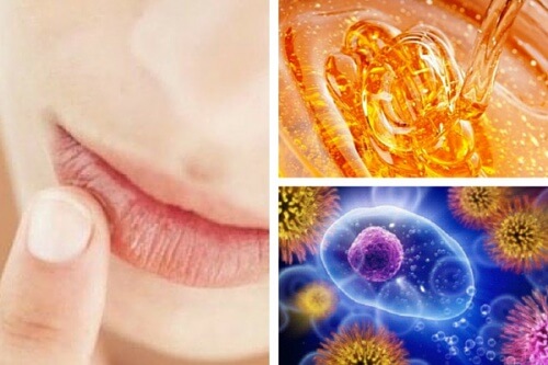 Miele biologico: 10 meravigliosi benefici