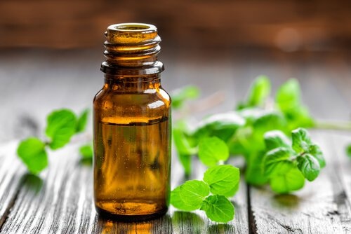 Olio essenziale di menta