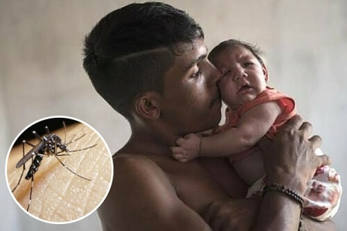 Allarme virus Zika: 10 cose che dovete sapere