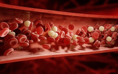 Alimenti che liberano le arterie in modo naturale