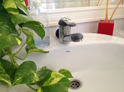 Come eliminare il cattivo odore dalle tubature