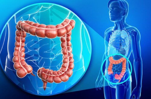 Come depurare il colon in modo naturale Come depurare il colon in modo naturale