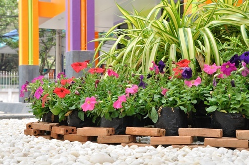 giardino