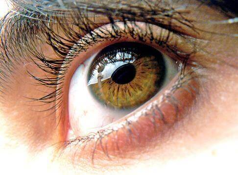 La sindrome dell'occhio secco: 5 rimedi naturali