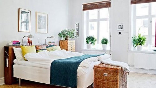 Piante da mettere in camera da letto