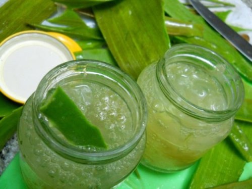 vasetti con gel di aloe vera Zampe di gallina