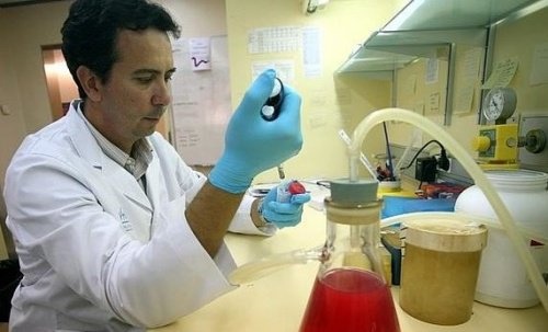Joan Seoane