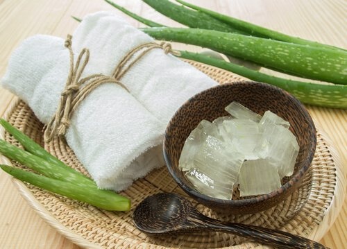 gel di aloe vera