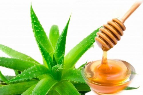 sapone naturale aloe vera e miele