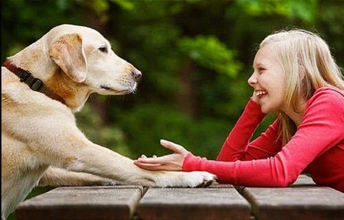 bambina e cane impieghi del limone