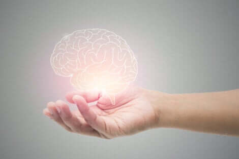 Benefici della cannella sul cervello