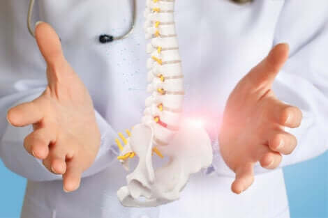 Medico e colonna vertebrale.