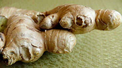 Radice di zenzero alleata per perdere peso