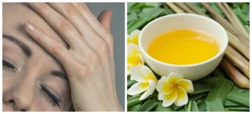 Erba limone in infuso per alleviare il mal di testa