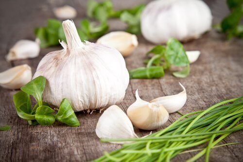 Testa d'aglio