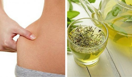 Frullati al tè verde che aiutano a dimagrire