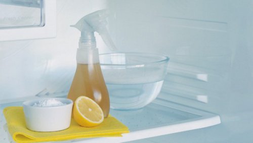 Trucchi per pulire il frigorifero ed eliminare i cattivi odori
