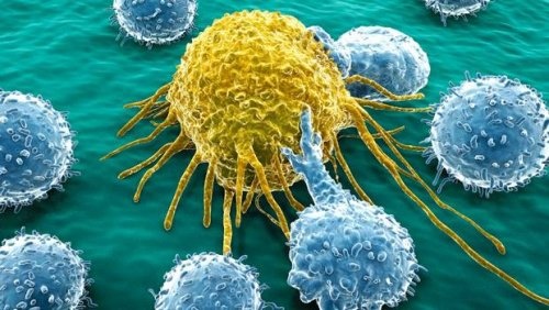 Cellula cancerogena cancro