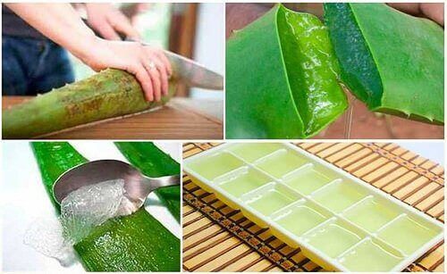 Gel di aloe vera: come conservarlo per ridurre gli sprechi