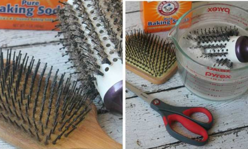 spazzole per capelli pulizie di casa