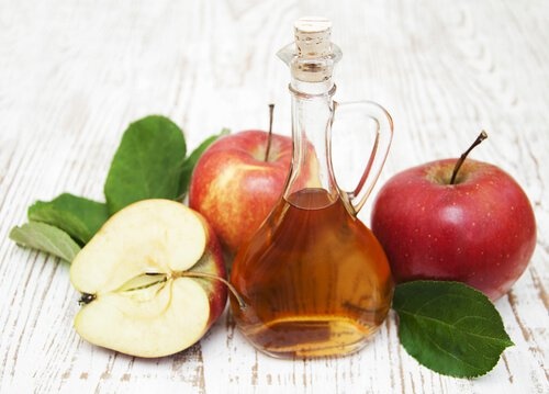 aceto di mele gli insetti