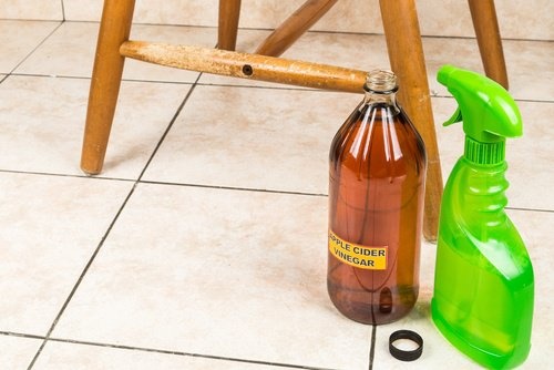 aceto di mele e limone
