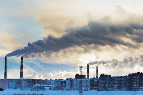 contaminazione dell'aria frullato disintossicante