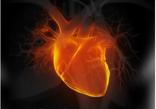 Cuore con sintomi di insufficienza cardiaca