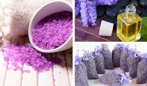 Lavanda, 10 modi per usarla a casa, in cosmesi e in medicina