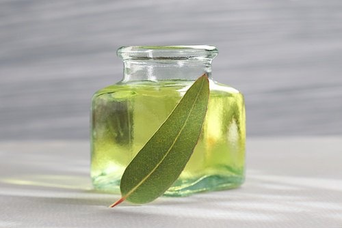 olio d'eucalipto per allontanare gli insetti