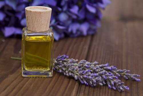 olio di lavanda