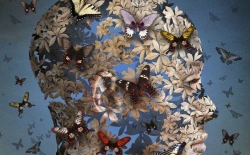 profilo con farfalle