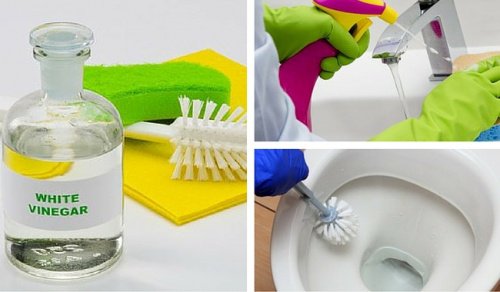 6 modi per pulire il bagno con l’aceto bianco