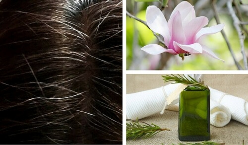Tinte naturali: eccone 6 per coprire i capelli bianchi