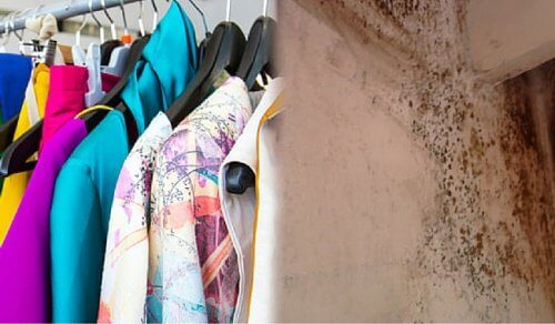 Trucchi economici per eliminare l'odore di muffa dai vestiti