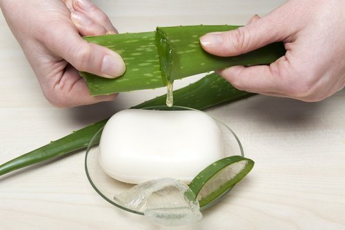 Aloe vera sapone idratante
