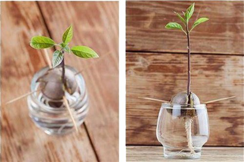 Dopo un mesetto si inizieranno a notare i primi cambiamenti