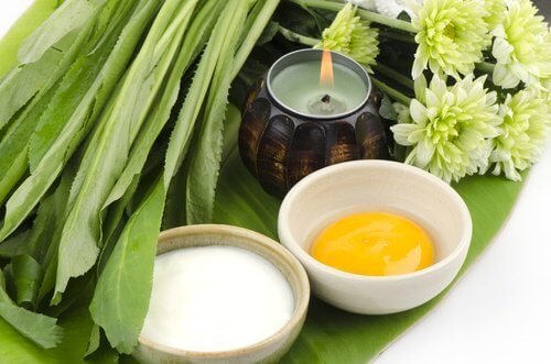 Ingredienti-naturali-per- prevenire il seno cadente