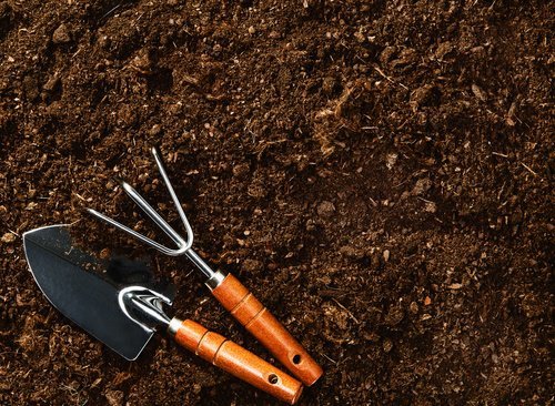 attrezzatura da giardino limone