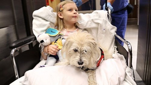 bambina in ospedale con il suo cane