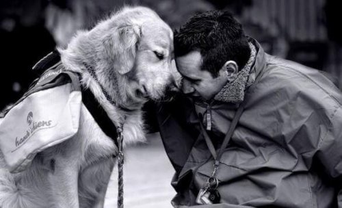 cane e uomo mahe