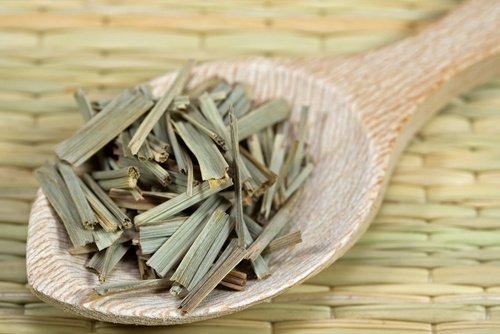 citronella repellente per le zanzare