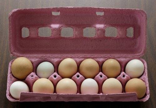 Confezione uova trucchi cucina