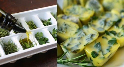 Trucco di cucina per conservare le erbe in freezer