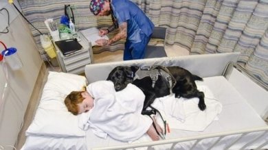 Mahe: il cane che si prende cura del suo padroncino affetto da autismo