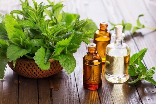 olio alla menta per combattere le zanzare
