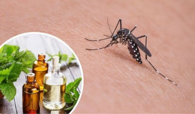 Zanzare: 11 erbe e spezie per allontanarle